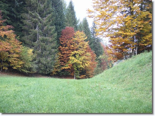 Sei già all'ultima foto